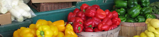 Farmerr's Market Produce Selection