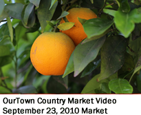 Farmer's Market Youtube Video